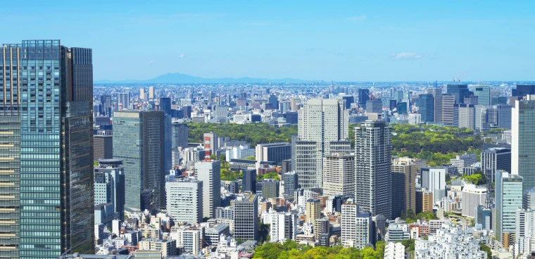 事業内容